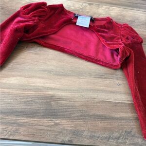 Biscotti Luxurious Red Velvet Jacket